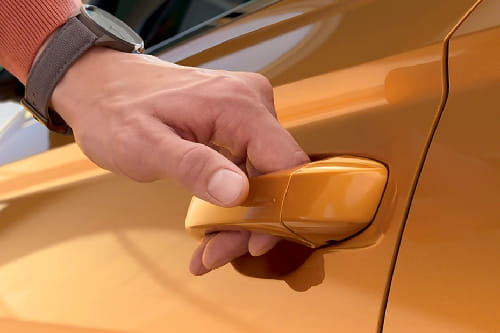 Karoq Door handle