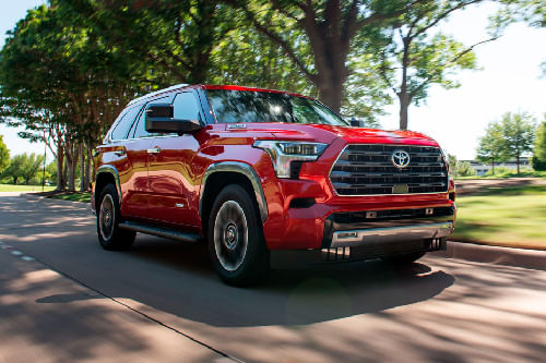 Sequoia Tilted Front View