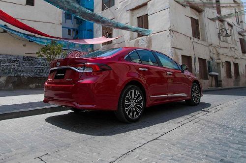 Corolla Rear angle view