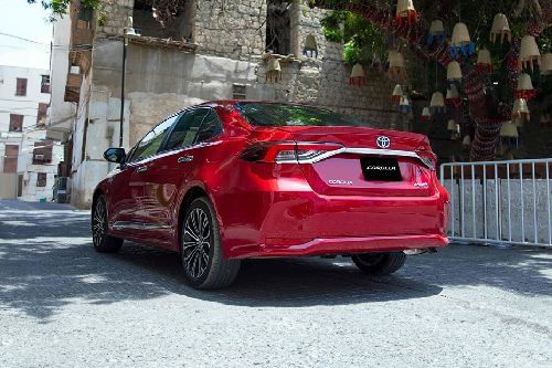 Rear Medium View of Toyota Corolla