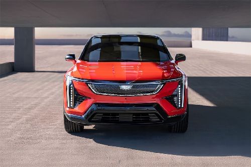 Full Front View of أوبتيك