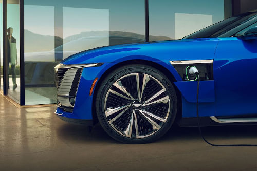 سيليستيك Wheel