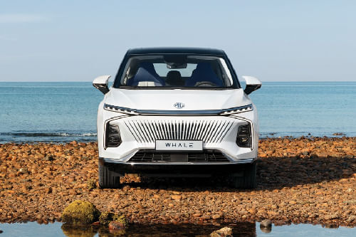 Full Front View of ويل