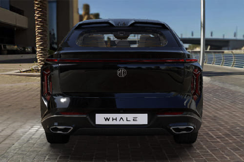 Full Rear View of MG Whale