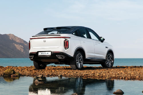 ويل Rear angle view