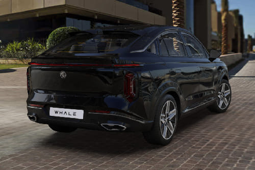 Whale Rear angle view