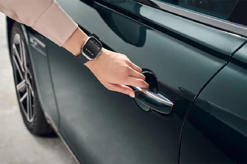 جي 80 Door handle