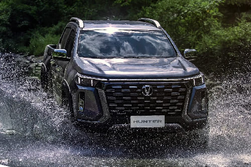 Full Front View of Hunter