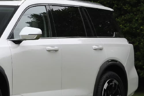 GS8 Traveller Door handle