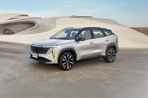 جيلي ستاراي