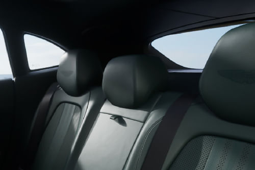 DBX Rear Seat Head rest