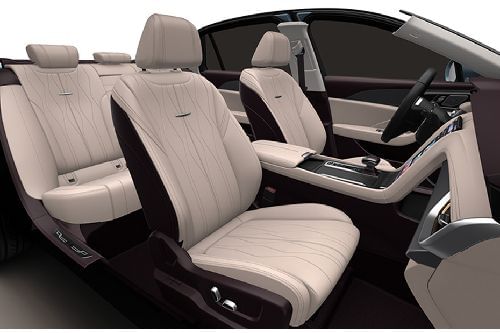 Hongqi OUSADO Passengers View