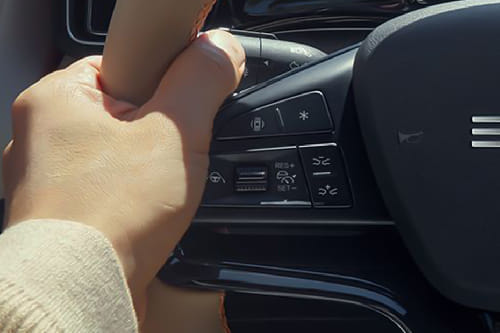 BYD Sealion 5 Multi Function Steering