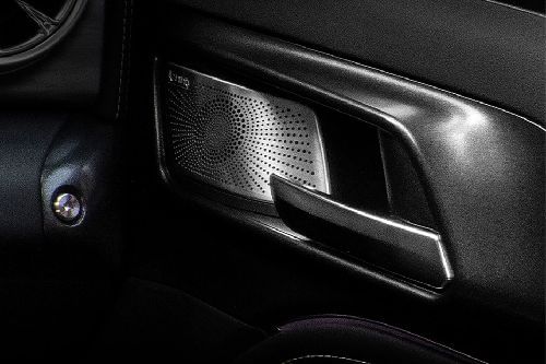 door handle interior of تانك 300