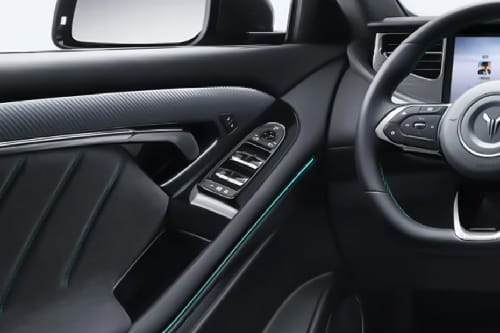 فوياه فري Drivers Side In Side Door Controls