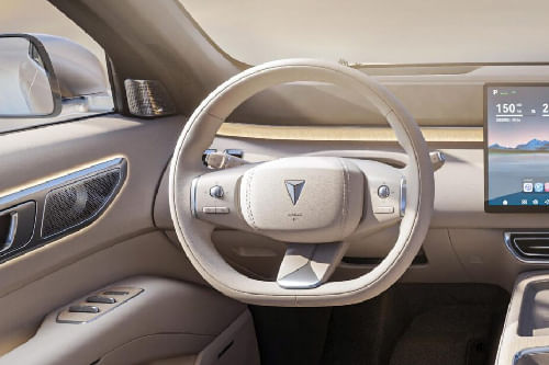 ديبال إس 09 Steering Wheel