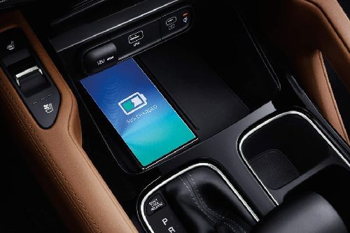 تيلورايد Cup Holders