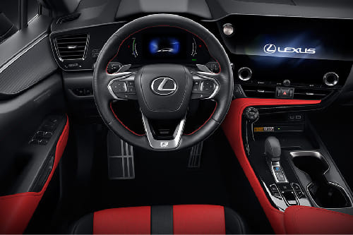 Dashboard View of NX