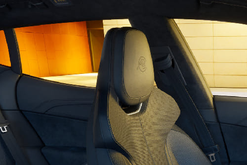 إيلتري Front Seat Headrest