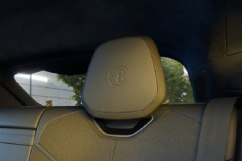 إيلتري Rear Seat Head rest