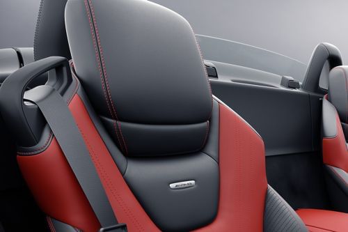 AMG GT Front Seat Headrest