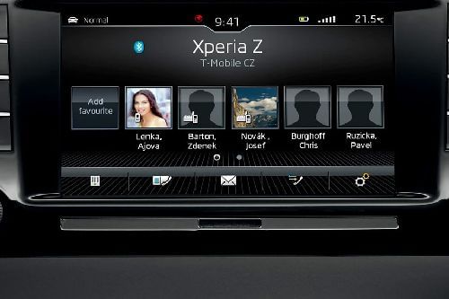 Stereo View of Superb