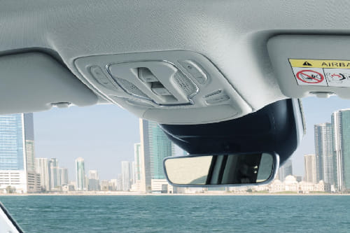 Whale Courtesy Lamps