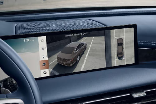 EV G 80 Parking Assist