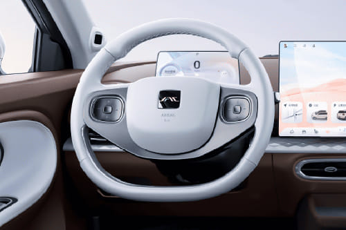 JAC E30X Steering Wheel